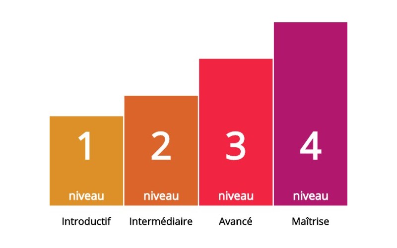 Niveaux-progressifs 🎉 PROMPT PARTY
