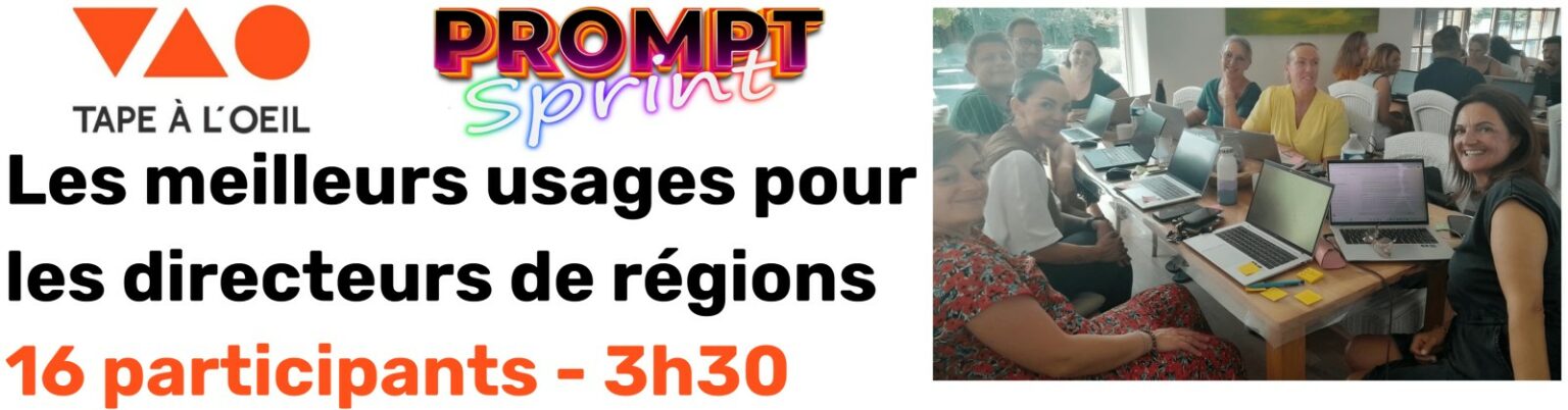 Tape à l’Œil, Prompt Party d’une demi-journée : les meilleurs usages pour les directeurs de régions, 16 participants, 3 h 30