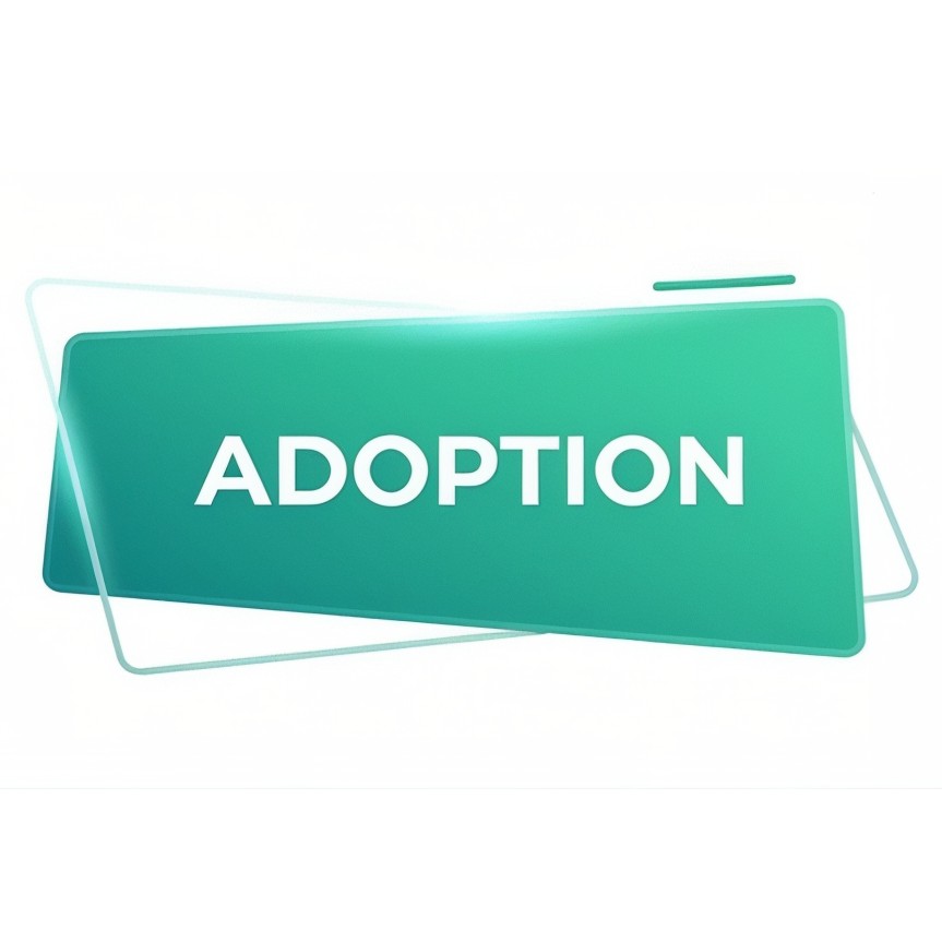 Adoption Offre
