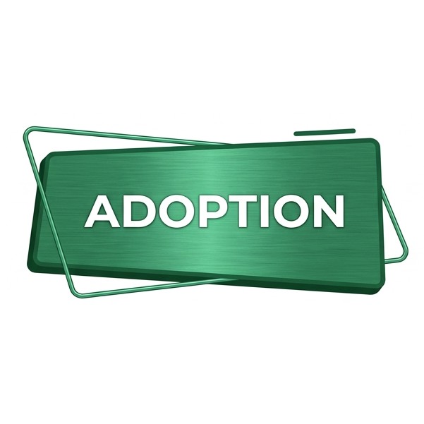 Adoption